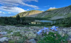 A mountain with a lake and some flowers